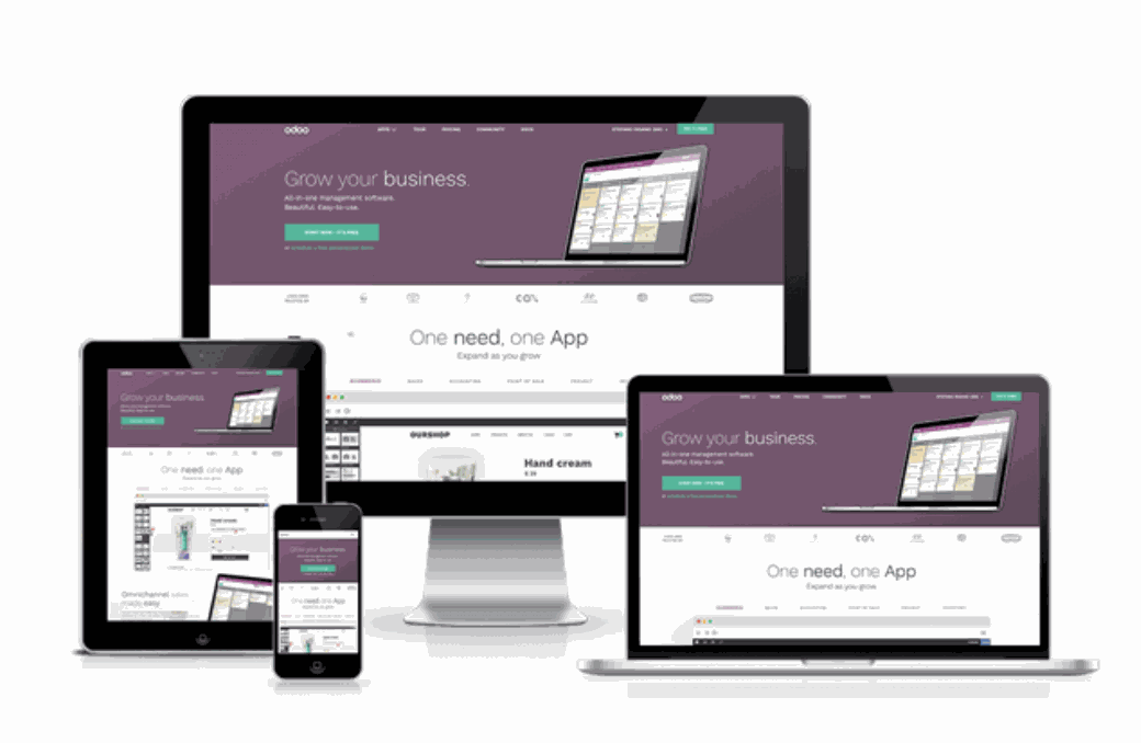 Odoo • Image and Text